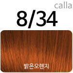 [8/34] 밝은오렌지